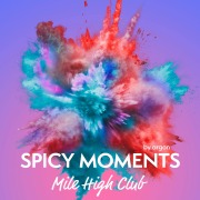 Cover-Bild zum Titel 'Mile High Club - Erotische Geschichte' von 'Spicy Moments By Argon'