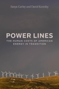 Cover-Bild zum Titel 'Power Lines' von 'Sanya Carley, David Konisky'