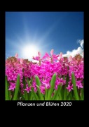 Pflanzen und Blüten 2020 Fotokalender DIN A5 - Tobias Becker