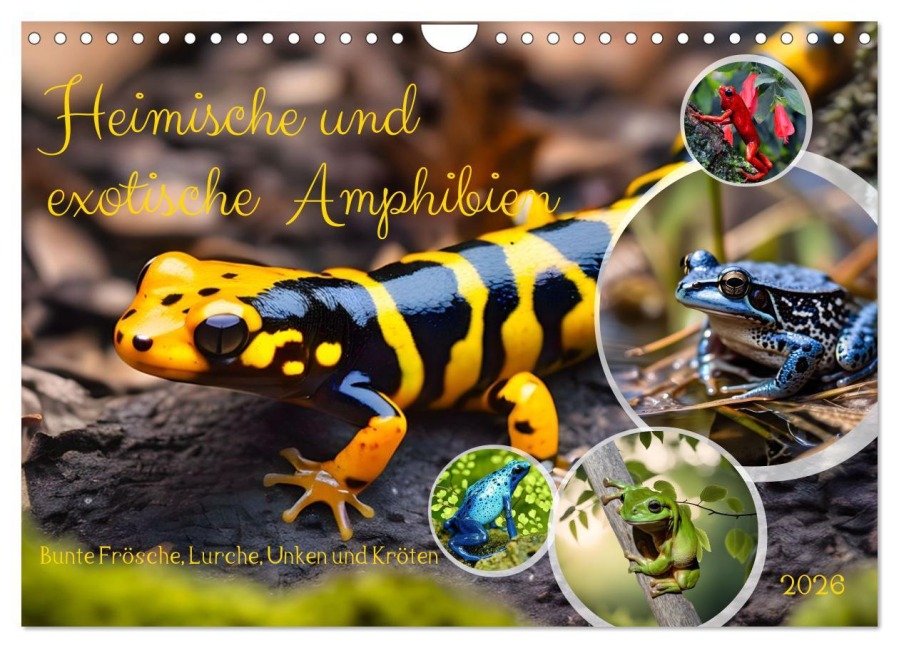 Heimische und exotische Amphibien (Wandkalender 2026 DIN A4 quer), CALVENDO Monatskalender - Claudia Kleemann