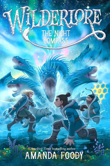 The Night Compass - Amanda Foody