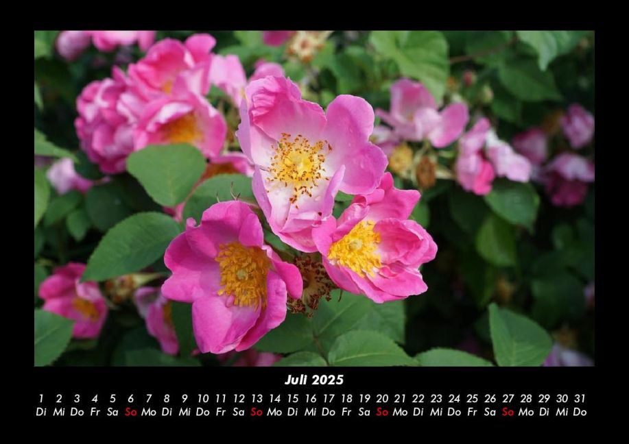 InsideView 11