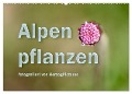 Alpenpflanzen fotografiert von HerzogPictures (Wandkalender 2024 DIN A2 quer), CALVENDO Monatskalender - HerzogPictures HerzogPictures