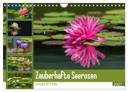 Cover-Bild zum Titel 'Zauberhafte Seerosen (Wandkalender 2027 DIN A4 quer), CALVENDO Monatskalender' von 'Ursula Di Chito'