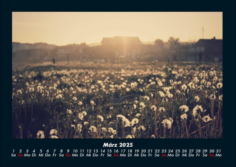 InsideView 7
