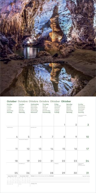 InsideView 10