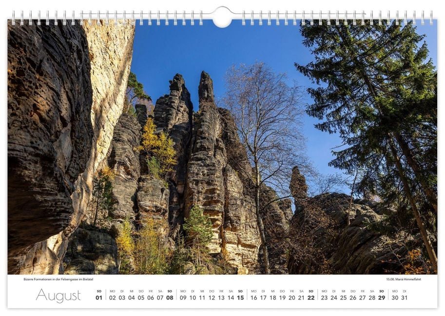 InsideView 8