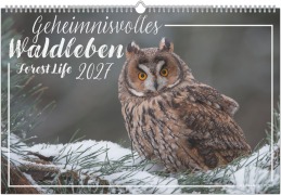 Cover-Bild zum Titel 'Geheimnisvolles Waldleben 2027' von ''