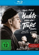 Cover-Bild zum Titel 'Nachts, wenn der Teufel kam' von 'Will Berthold, Werner Jörg Lüddecke, Siegfried Franz'