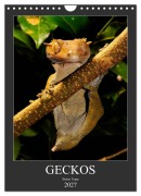 Cover-Bild zum Titel 'GECKOS (Wandkalender 2027 DIN A4 hoch), CALVENDO Monatskalender' von 'Benny Trapp'