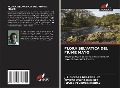 Cover-Bild zum Titel 'FLORA SELVATICA DEL FIUME MAYO' von 'Julio César Duarte Ruiz, Renato Osuna Ramírez, Ismael Yevismea Nebuay'