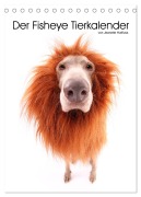 Cover-Bild zum Titel 'Der Fisheye Tiere Kalender (Tischkalender 2026 DIN A5 hoch), CALVENDO Monatskalender' von 'Jeanette Hutfluss'