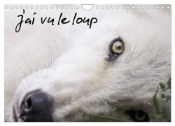 Cover-Bild zum Titel 'J'ai vu le loup (Calendrier mural 2026 DIN A4 vertical), CALVENDO calendrier mensuel' von 'Arnaud Camel'
