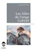 Cover-Bild zum Titel 'Les Ailes de l'ange Gabriel' von 'François Xavier David'