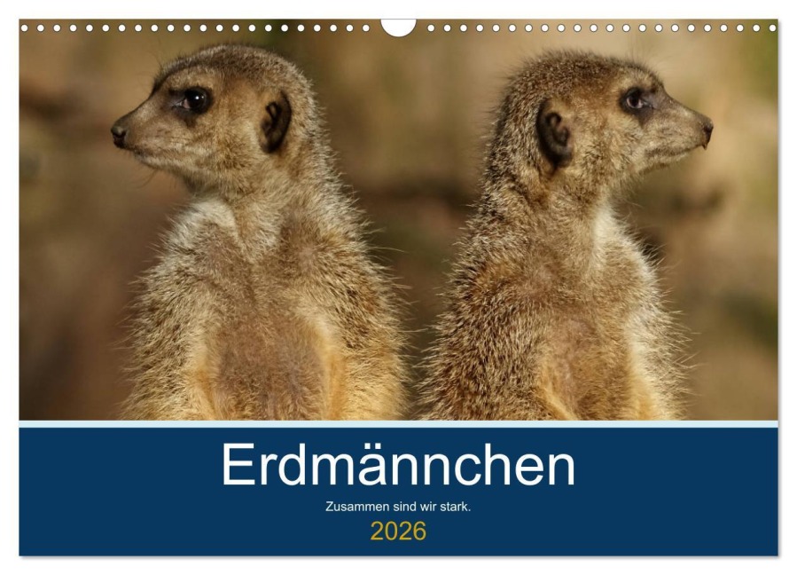 Erdmännchen - Zusammen sind wir stark (Wandkalender 2026 DIN A3 quer), CALVENDO Monatskalender - Peter Hebgen