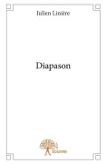 Cover-Bild zum Titel 'Diapason' von 'Julien Linière'