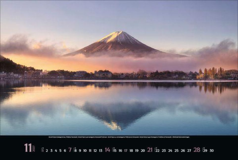 InsideView 11