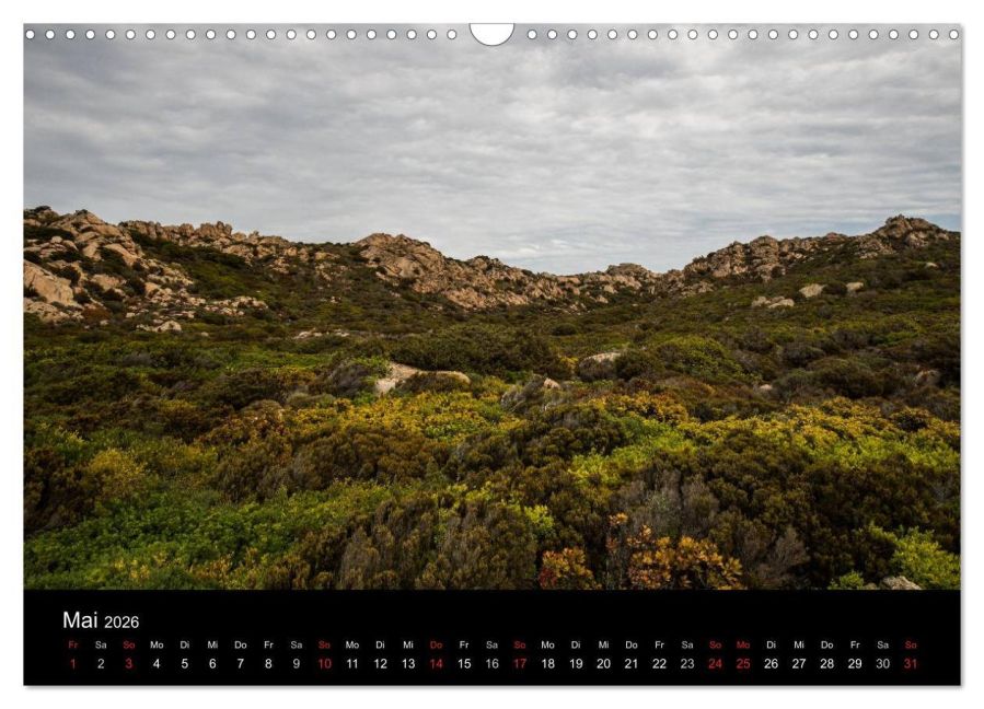 InsideView 10