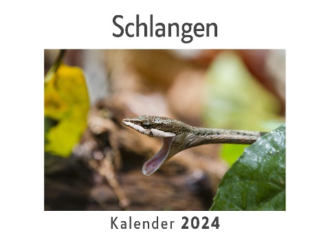 Schlangen (Wandkalender 2024, Kalender DIN A4 quer, Monatskalender im Querformat mit Kalendarium, Das perfekte Geschenk) - Anna Müller