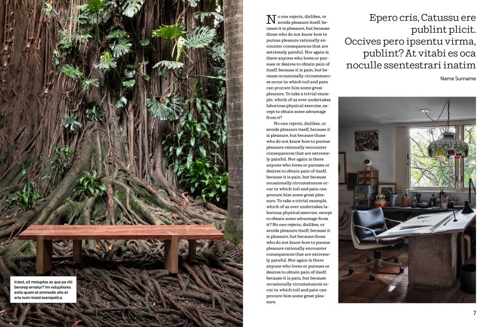 InsideView 3