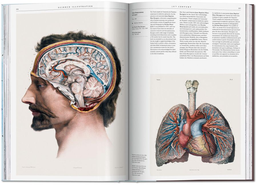 InsideView 10