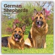 Cover-Bild zum Titel 'German Shepherds - Deutsche Schäferhunde 2027 - 16-Monatskalender' von 'Browntrout Publishers'