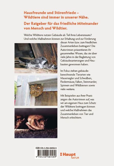 InsideView 5