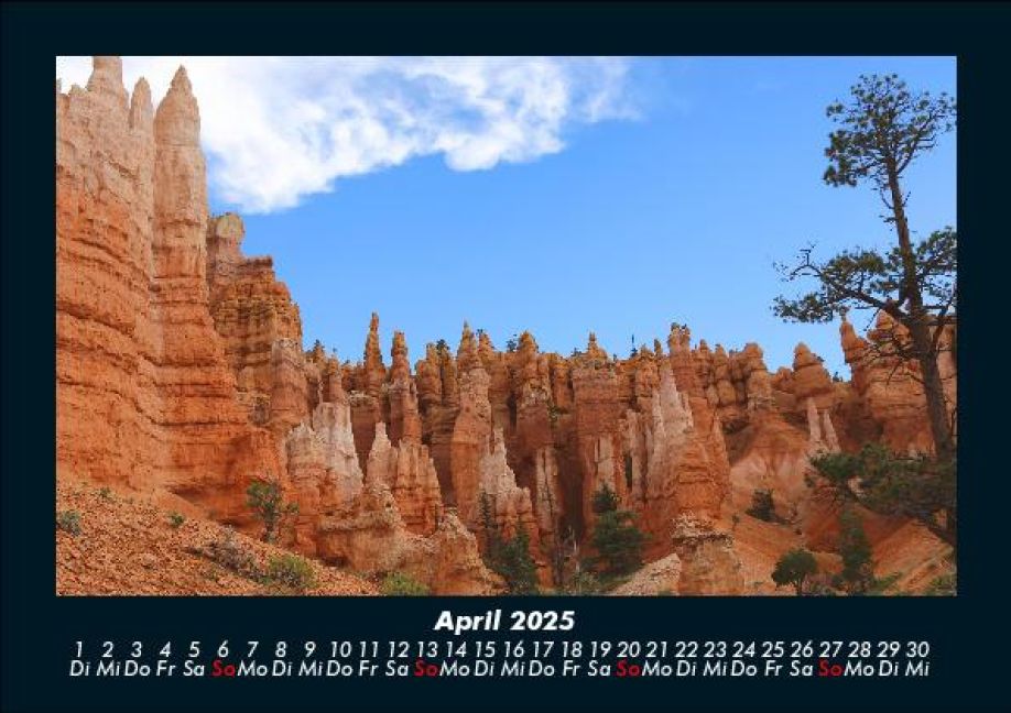 InsideView 8