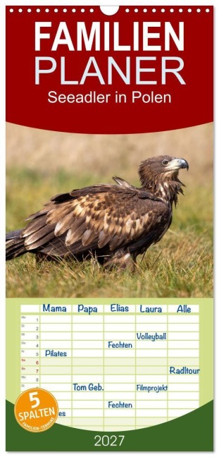 Familienplaner 2027 - Seeadler in Polen mit 5 Spalten (Wandkalender, 21 x 45 cm) CALVENDO - Stephan Peyer