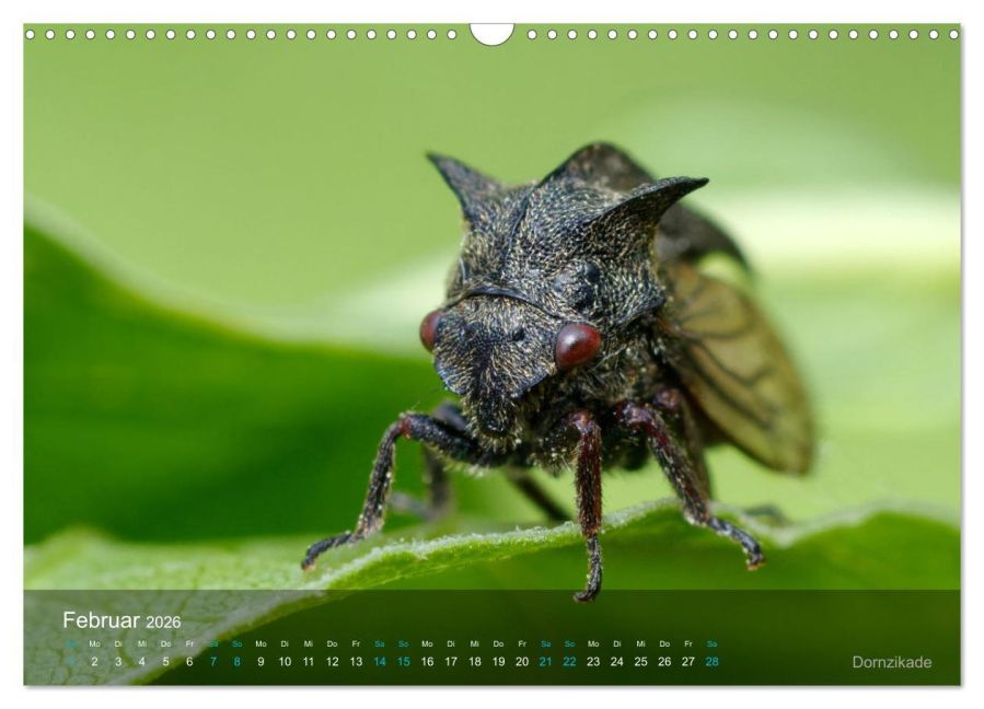 InsideView 7