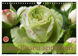 Cover-Bild zum Titel 'Lass Rosen sprechen (Wandkalender 2026 DIN A4 quer), CALVENDO Monatskalender' von 'Martina Cross'