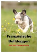 Französische Bulldoggen - Eine Bully Liebeserkärung (Wandkalender 2025 DIN A3 hoch), CALVENDO Monatskalender - Yvonne Obermüller