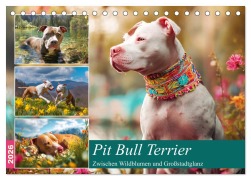 Cover-Bild zum Titel 'Pit Bull Terrier. Zwischen Wildblumen und Großstadtglanz (Tischkalender 2026 DIN A5 quer), CALVENDO Monatskalender' von 'Rose Hurley'