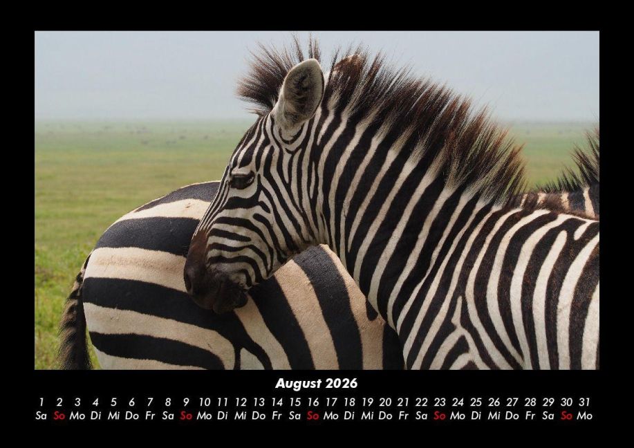 InsideView 12
