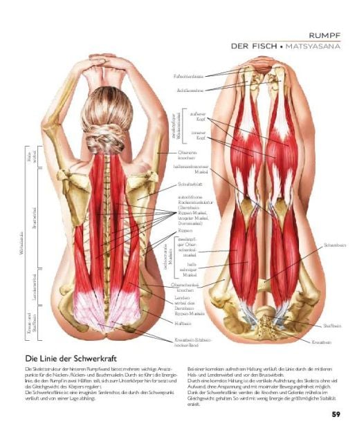 InsideView 8