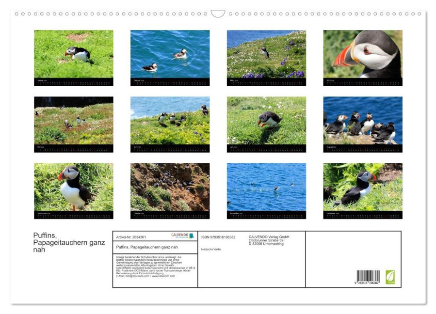 InsideView 5