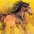 Happiness Is a Horse 2024 12 X 12 Wall Calendar - Willow Creek Press