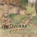 Cover-Bild zum Titel 'Dvorak:2 Serenades' von 'Various'