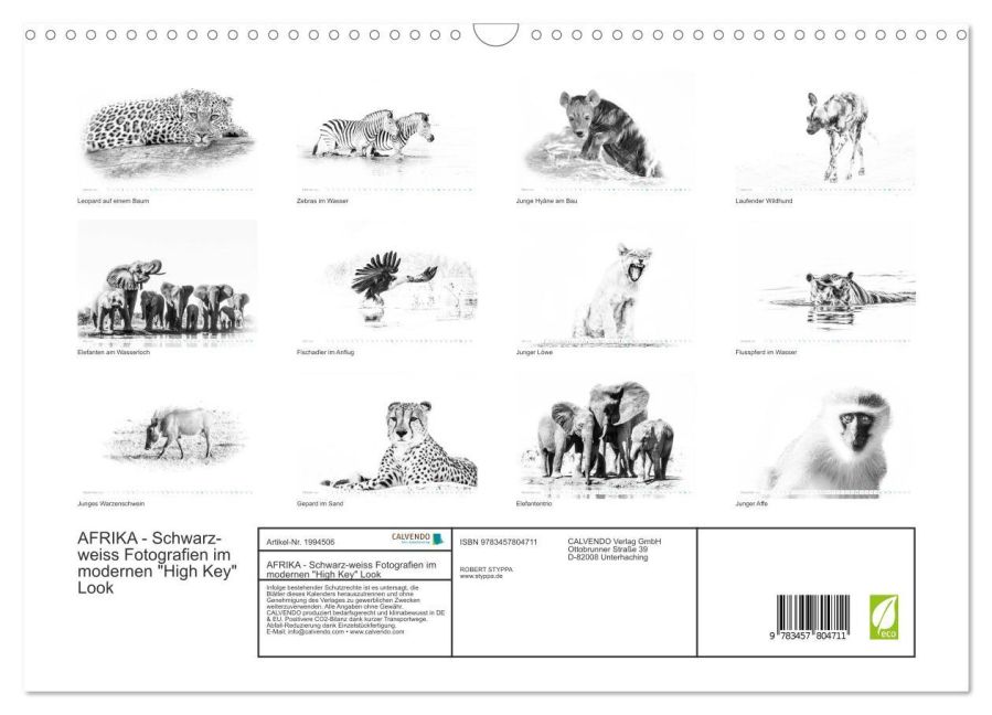 InsideView 5