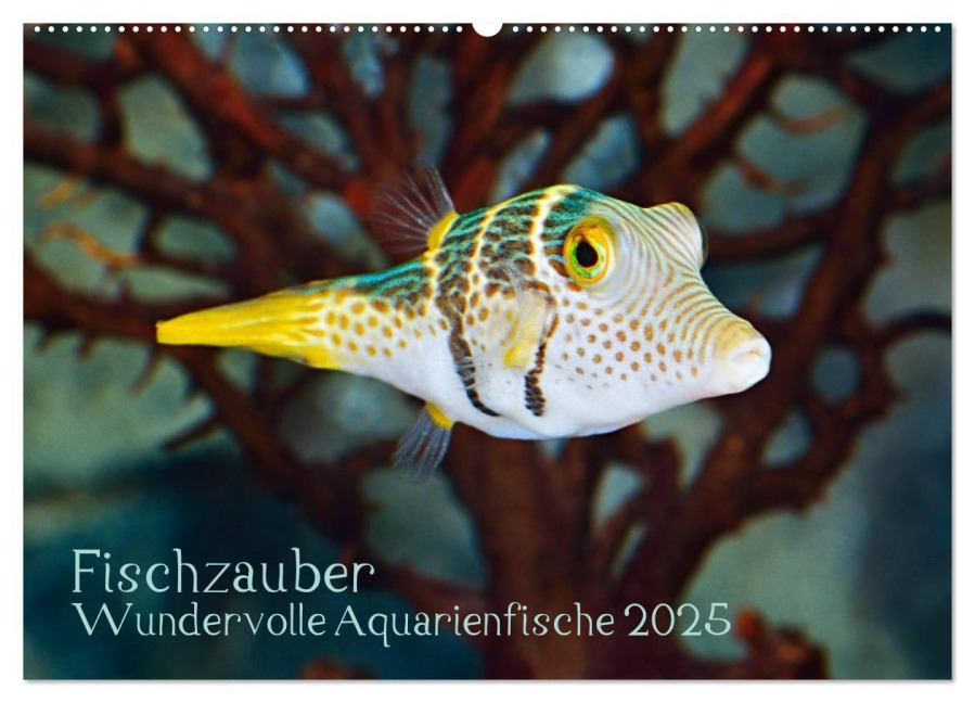 Fischzauber - Wundervolle Aquarienfische (Wandkalender 2025 DIN A2 quer), CALVENDO Monatskalender - Rainer Plett
