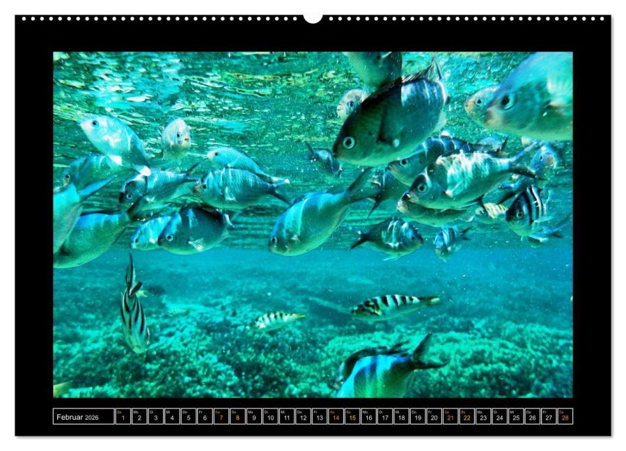 InsideView 7
