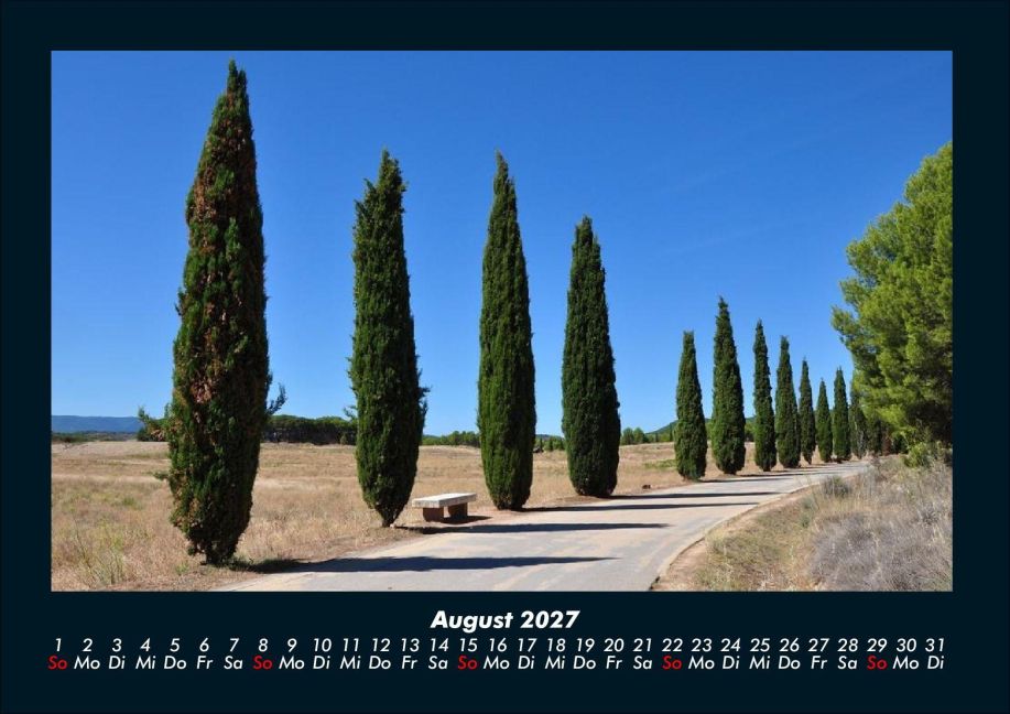 InsideView 12