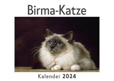 Birma-Katze (Wandkalender 2024, Kalender DIN A4 quer, Monatskalender im Querformat mit Kalendarium, Das perfekte Geschenk) - Anna Müller