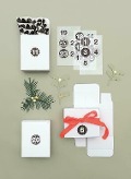 Cover-Bild zum Titel 'Adventskalender Boxen Weiss, 24 Stück' von ''