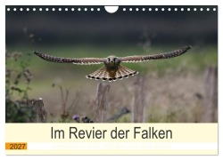 Cover-Bild zum Titel 'Im Revier der Falken (Wandkalender 2027 DIN A4 quer), CALVENDO Monatskalender' von 'Jens Siebert'