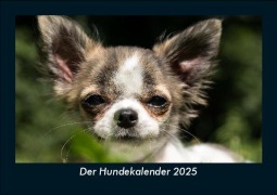 Cover-Bild zum Titel 'Der Hundekalender 2025 Fotokalender DIN A5' von 'Tobias Becker'