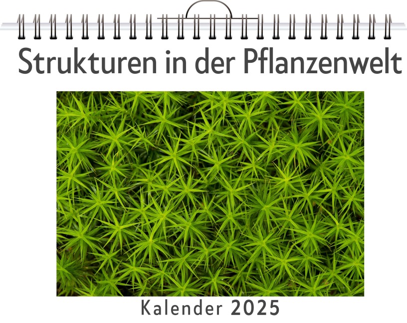 Strukturen in der Pflanzenwelt - Henry Fischer
