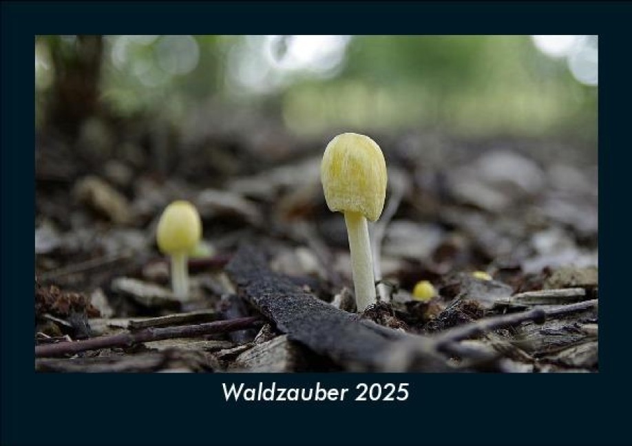 Waldzauber 2025 Fotokalender DIN A5 - Tobias Becker