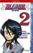 Cover-Bild zum Titel 'Bleach 02' von 'Tite Kubo'
