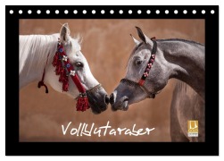 Cover-Bild zum Titel 'Vollblutaraber (Tischkalender 2026 DIN A5 quer), CALVENDO Monatskalender' von 'Francis Tilborghs'